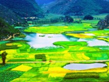 昆明、石林、大理、麗